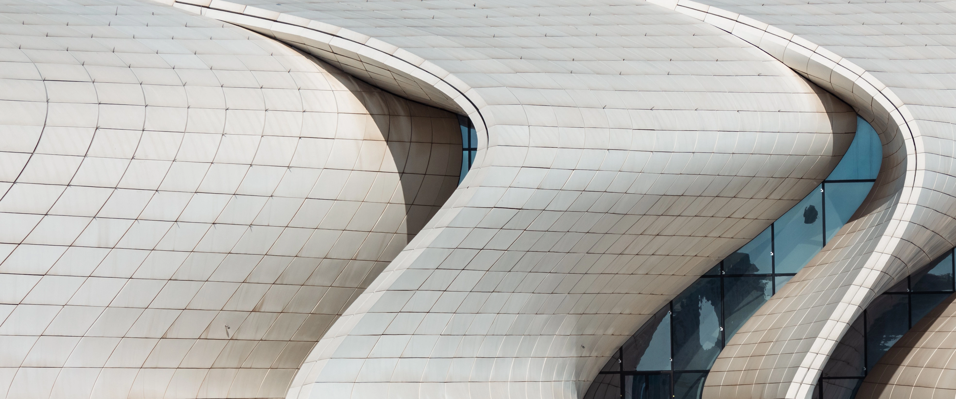 Pexels Sakina Mammadli 15522192 (1)