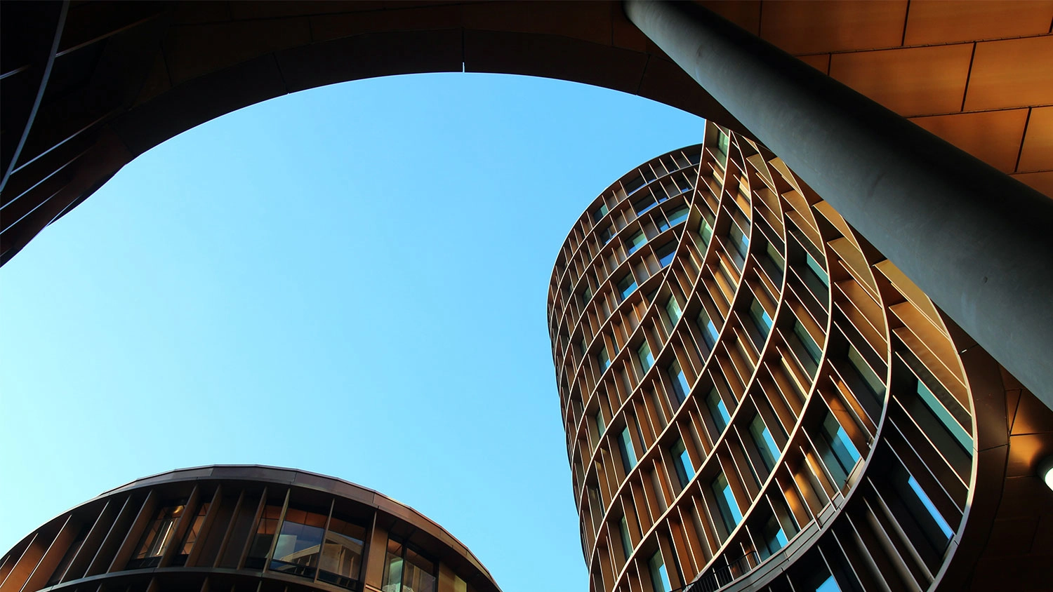 Project Management Banner