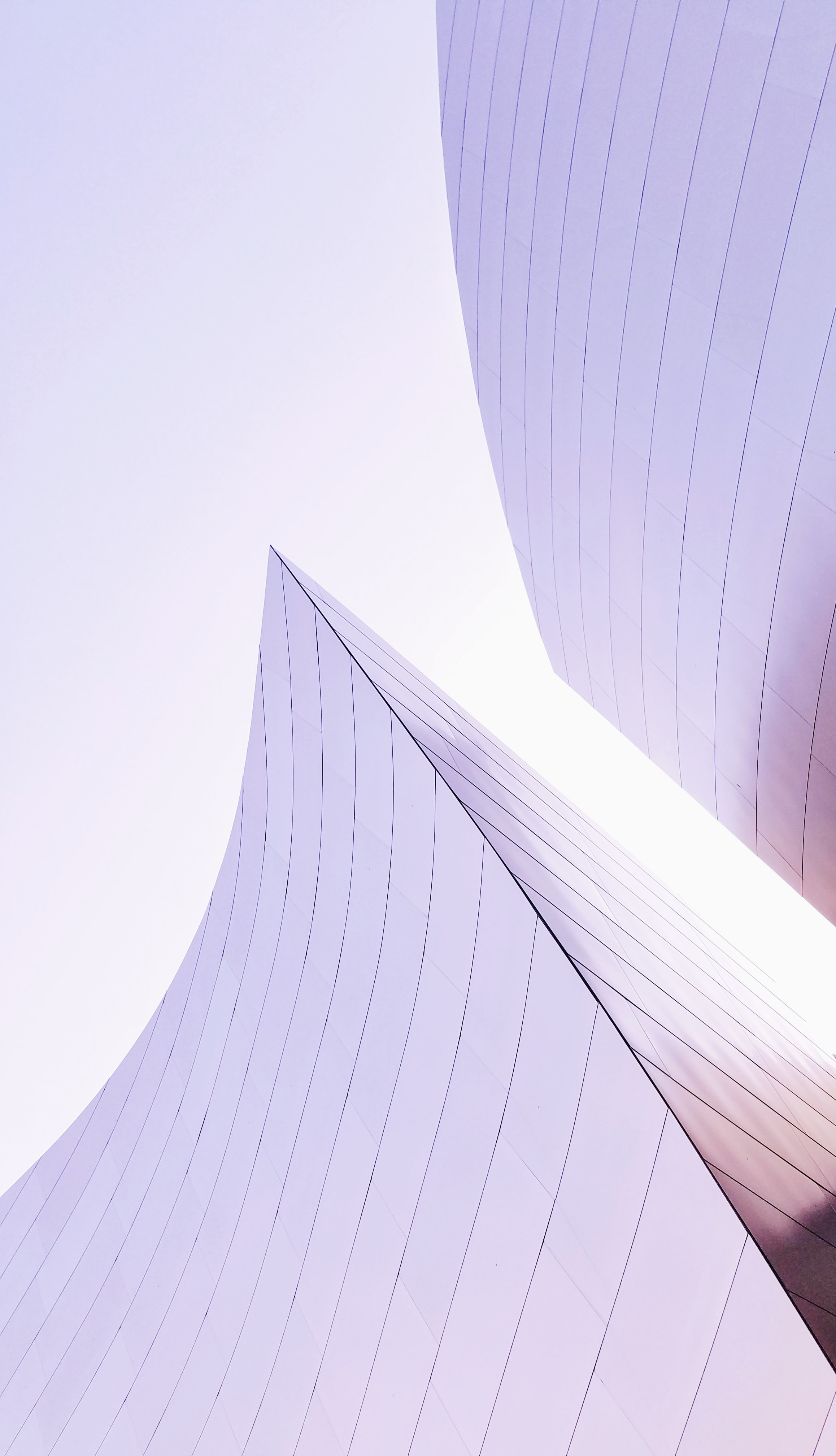 Montylov C3cedu9nzz0 Unsplash